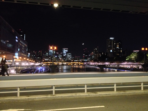 2014年に大阪で撮影した桜その4