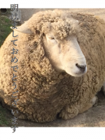 動物園で撮りまくった写真を共有してみる