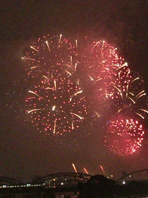 第29回なにわ淀川花火大会で打ち上がった花火の一つ(淀川河川敷で撮影)