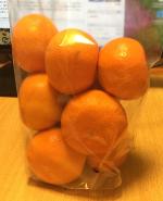 こたつ導入するが、あいつらは相変わらず人に堕落する呪いをかける