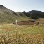 曽爾高原（そにこうげん）で一面のすすきを見てきた！