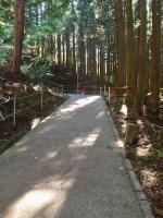 曽爾高原（そにこうげん）で一面のすすきを見てきた！