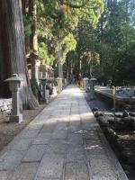 高野山を一通り回って秋を散策し、あれこれ写真を撮ってきました