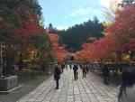 高野山を一通り回って秋を散策し、あれこれ写真を撮ってきました