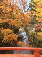 高野山を一通り回って秋を散策し、あれこれ写真を撮ってきました