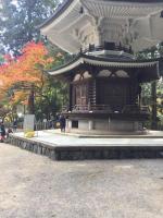 高野山を一通り回って秋を散策し、あれこれ写真を撮ってきました