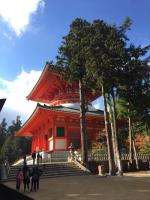 高野山を一通り回って秋を散策し、あれこれ写真を撮ってきました