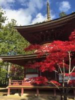 高野山を一通り回って秋を散策し、あれこれ写真を撮ってきました