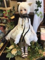 先日Doll's Mythとガールズアートコレクション2019へ行ってきました！