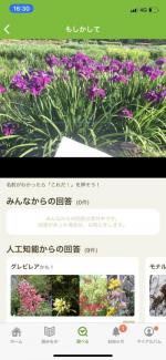 iPhoneのカメラを使って無料にて花の名前を調べるには？（通信料は除く）