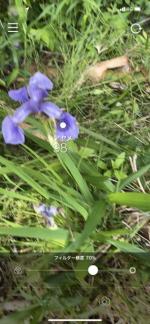 ハナノナで素早く！タッチレス！！に花の名を調べる