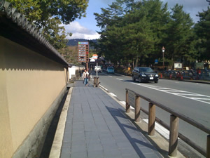 奈良公園その014